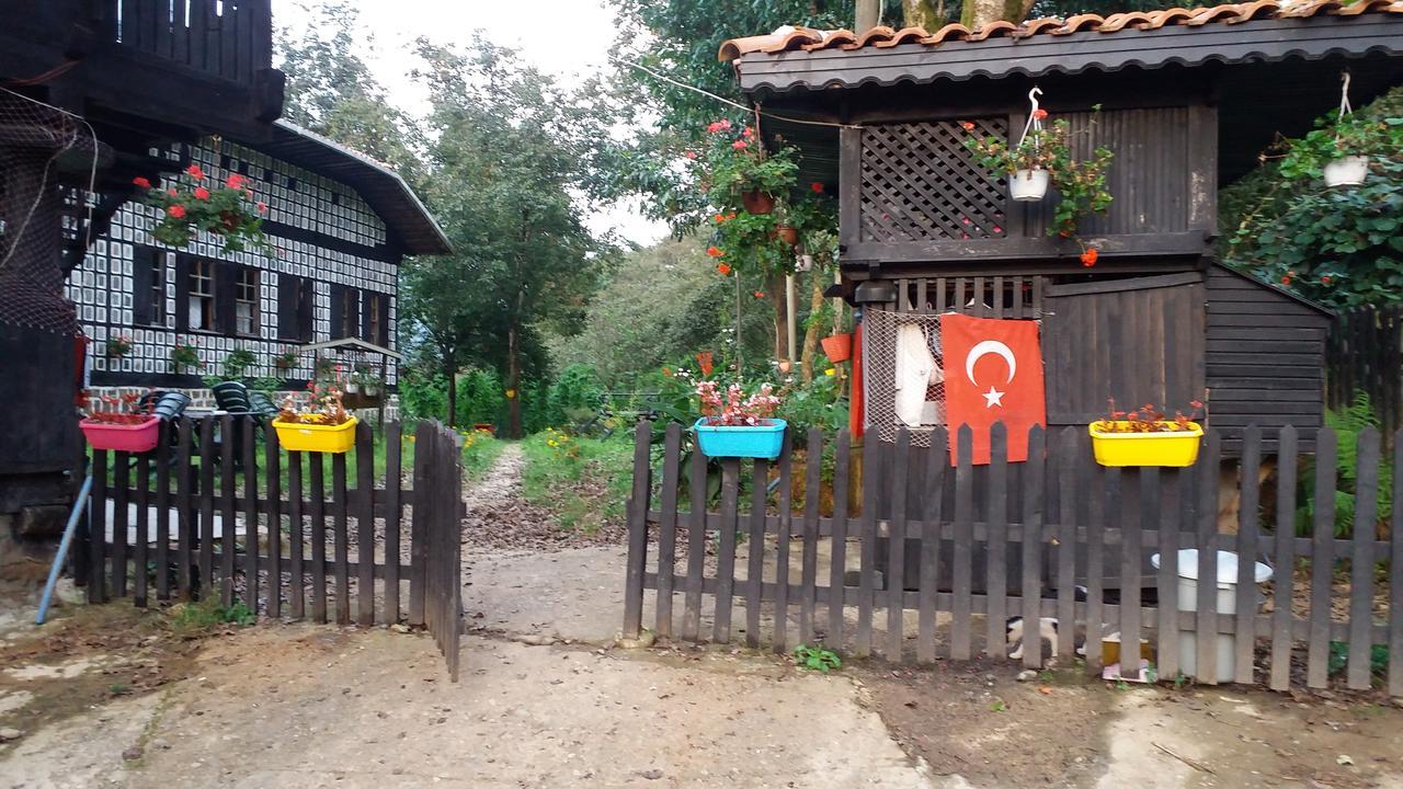 Vila Inceler Konagi Findikli  Exteriér fotografie